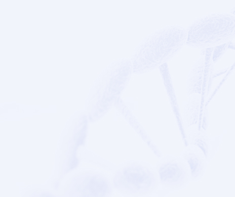 ×ðÁú¿Ê±- ¹Ù·½ÍøÕ¾