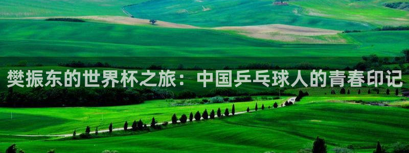 2026足球世界杯赛程：樊振东的世界杯之旅：中国乒乓球人的青春印记