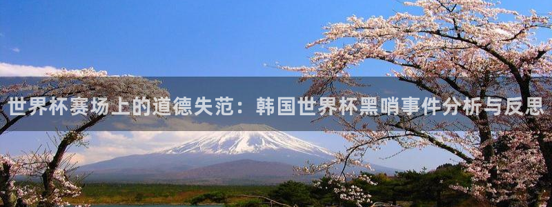 世界杯决赛预测：世界杯赛场上的道德失范：韩国世界杯黑哨事件分析与反思