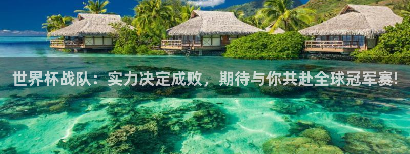 世界杯预选赛2026:世界杯战队:实力决定成败,期待与你共赴全球冠军赛!