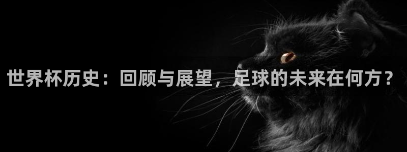 足球世界杯：世界杯历史：回顾与展望，足球的未来在何方？