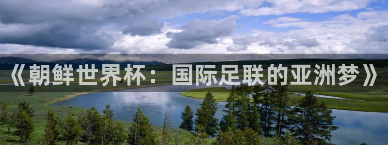 世预赛直播：《朝鲜世界杯：国际足联的亚洲梦》