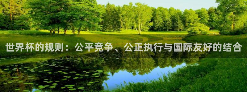2026年世界杯赛程:世界杯的规则:公平竞争、公正执行与国际友好的结合