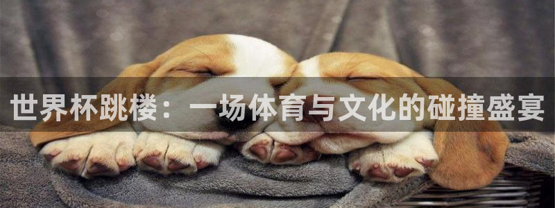 世预赛欧洲赛程表：世界杯跳楼：一场体育与文化的碰撞盛宴