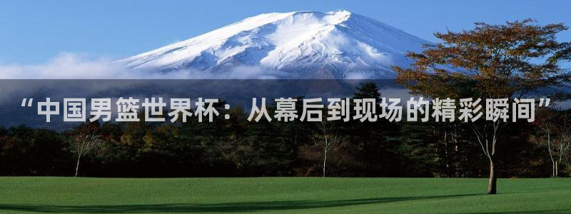 2026男足世界杯赛程：“中国男篮世界杯：从幕后到现场的精彩瞬间”