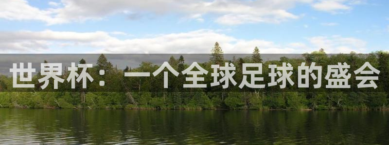 今年的世界杯:世界杯:一个全球足球的盛会