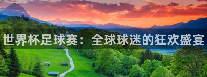 2026世界杯赛制:世界杯足球赛:全球球迷的狂欢盛宴